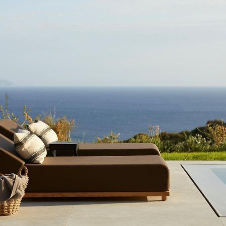 Villa Dione Kefalonian Chic Villas سبارتيا المظهر الخارجي الصورة